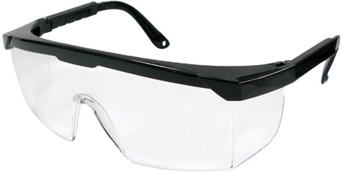 PSP 28-006 Veiligheidsbril Clear AS + AF