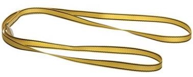 MSA Workman ankerstrop