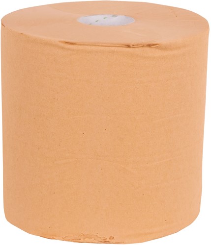 Maxirol recycled 2-laags (26cmx315m) 2 stuks